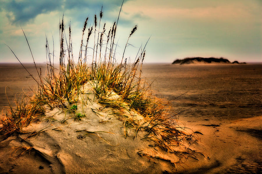 Sand Dune on Ocracoke - Outer Banks I Photograph by Dan Carmichael