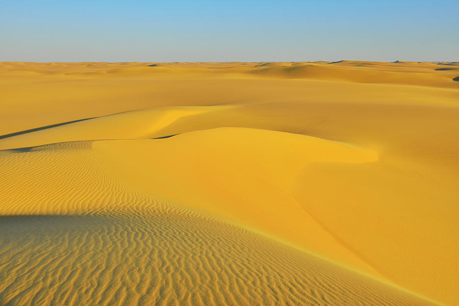 Sand Dune Photograph by Raimund Linke