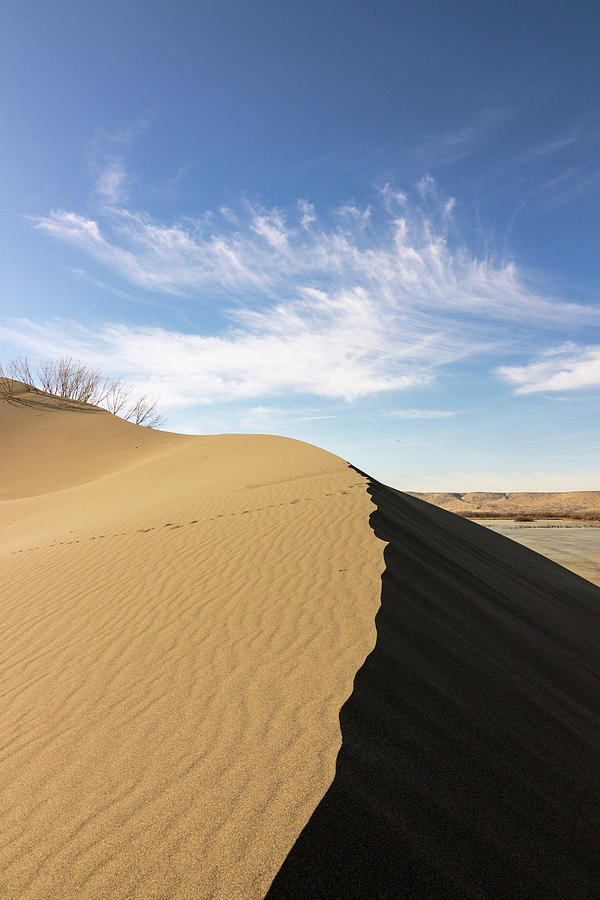 Sand Dune Ridge Bruneau Dunes State Photograph by Brent Bergherm - Pixels