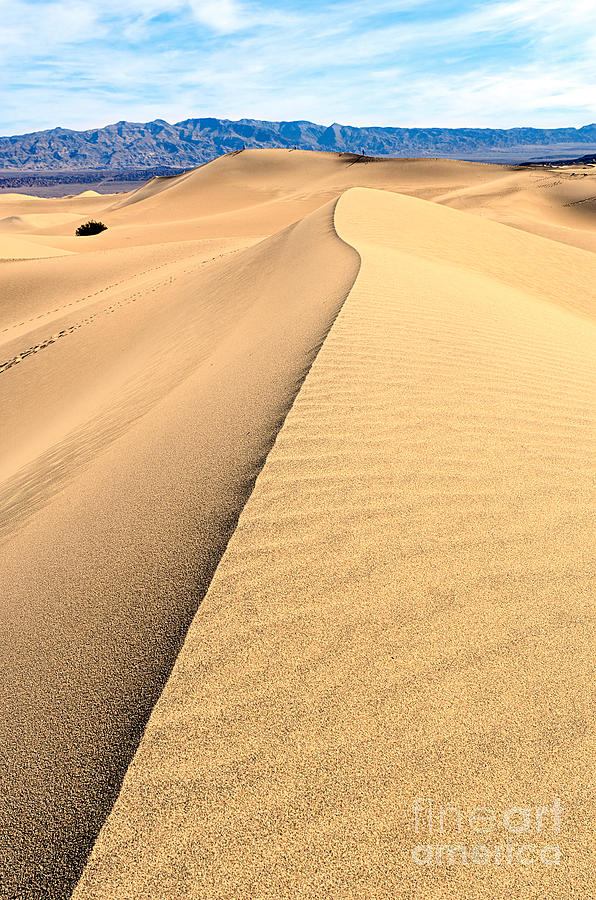 Sand Dune ridge in Death Valley National Park Photograph by Jamie Pham ...