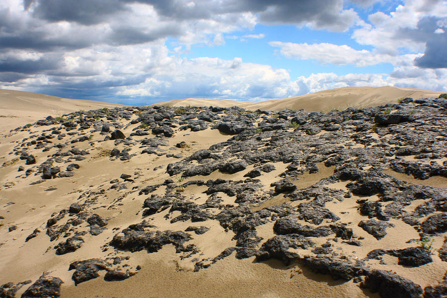 Sand Dune Rocks Photograph by Jon Emery
