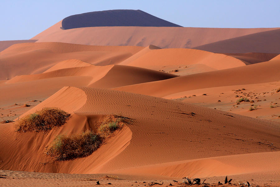 Sand Dune Sculpture  Photograph by Aidan Moran
