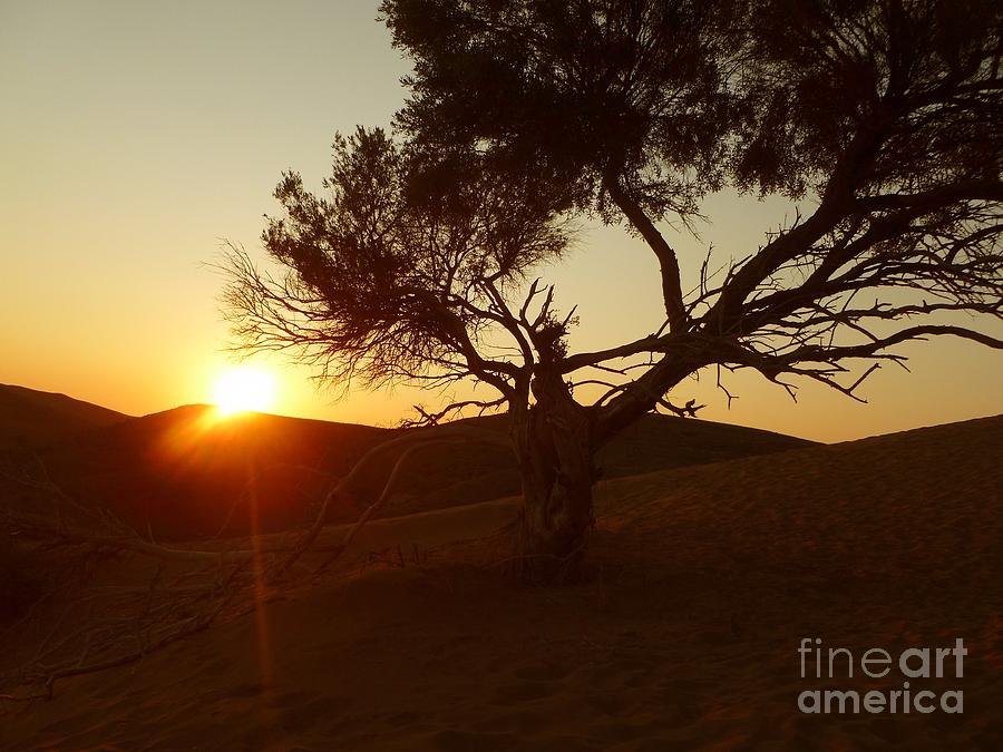 Sunset Photograph - Sand Dune Sunset by Vicki Spindler