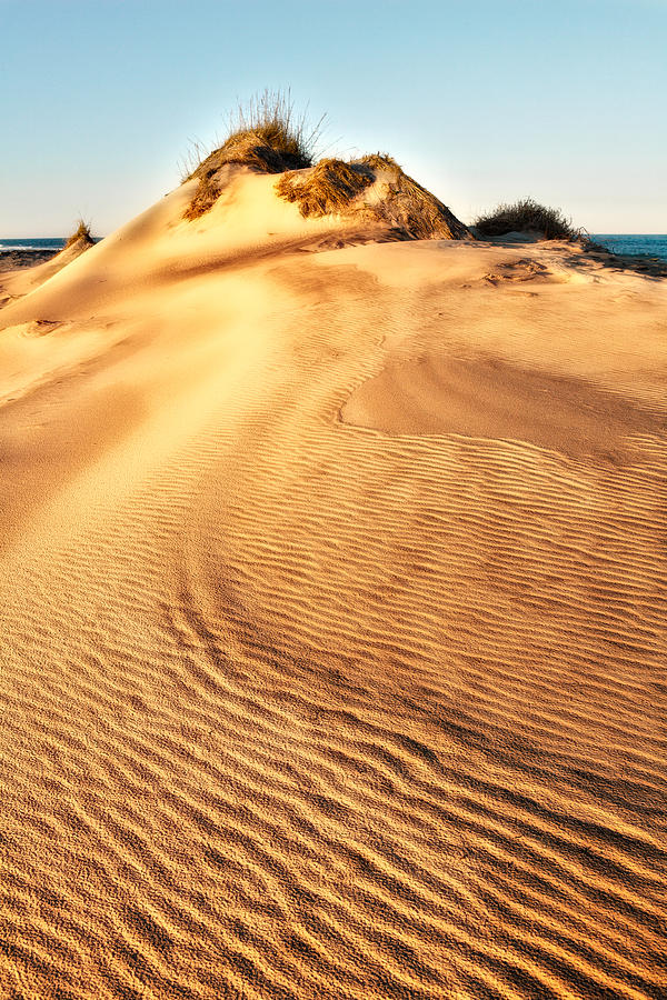 Sand Dune Textures - Outer Banks I Photograph by Dan Carmichael
