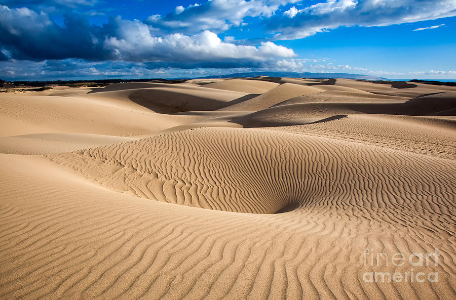 Sand Dune Vortex Photograph by Mimi Ditchie