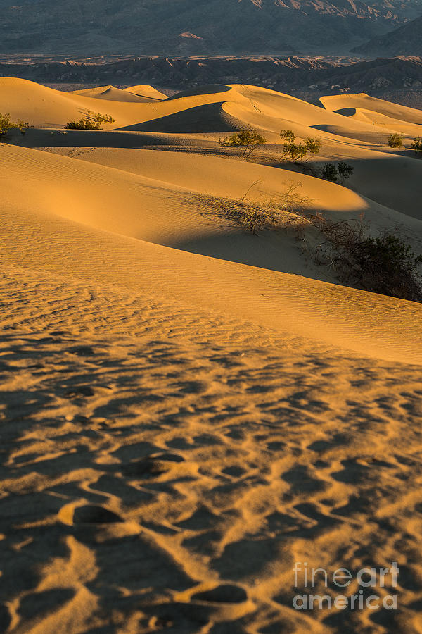 Sand Dune Waves Photograph by Joan Wallner