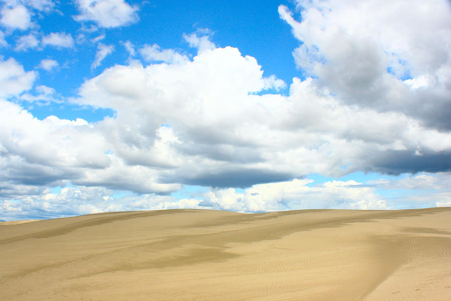Sand Dunes 4 Photograph by Jon Emery