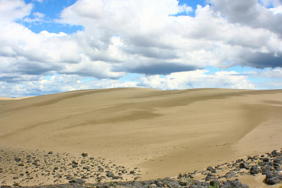Sand Dunes 5 Photograph by Jon Emery