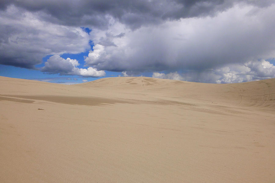 Sand Dunes 8 Photograph by Jon Emery