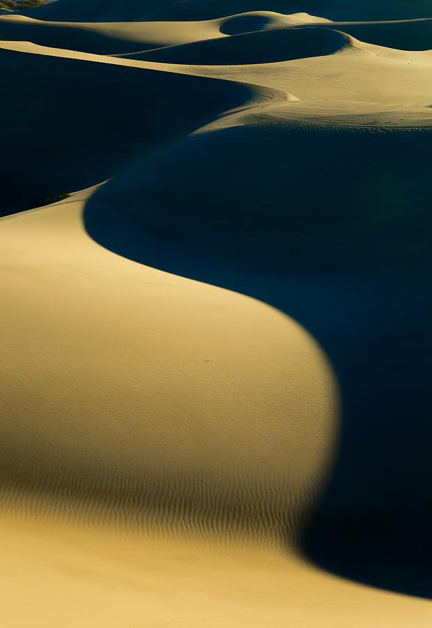 Sand Dunes Abstract Photograph by Jonathan Nguyen
