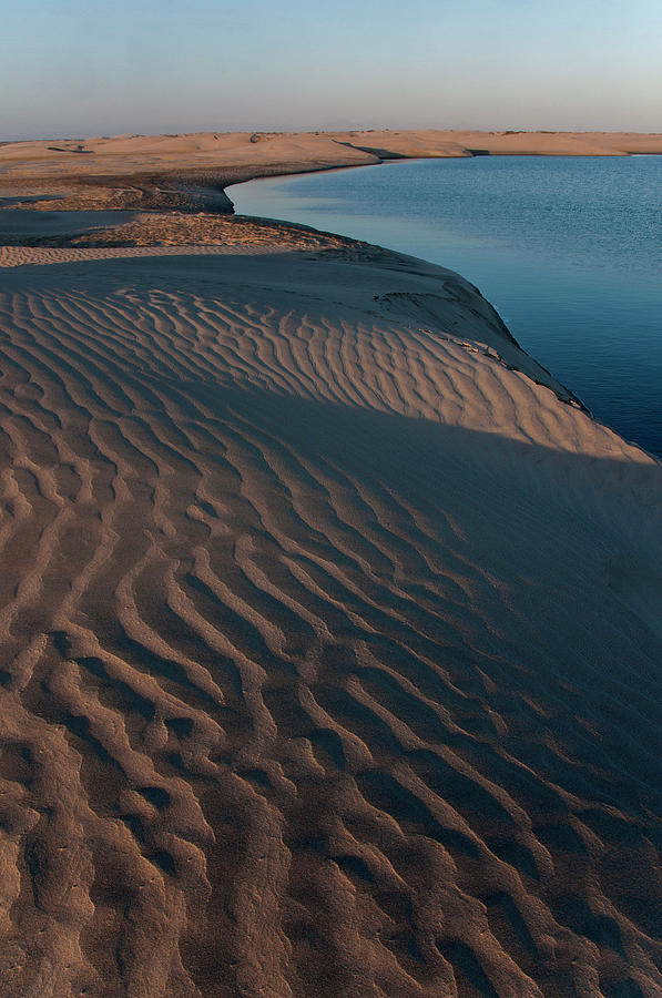 Sand Dunes Along Scammons Lagoon Coast Photograph by Mark Newman