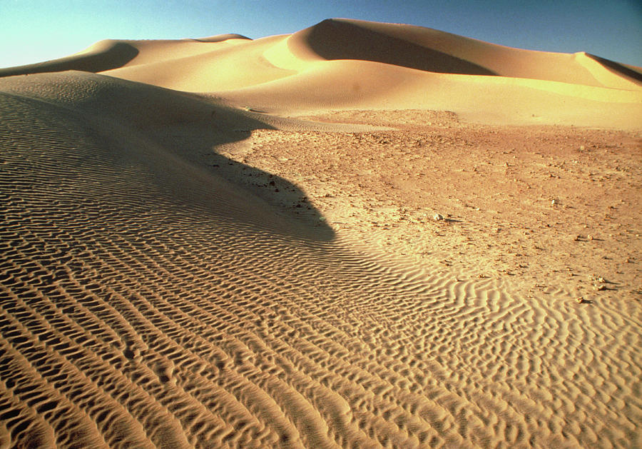 Sand Dunes Alongside True Desert Floor Photograph by Sinclair Stammers/science Photo Library