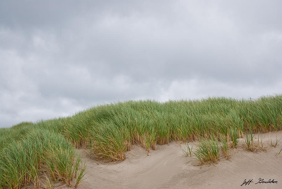 Sand Dunes and Grass Photograph by Jeff Goulden