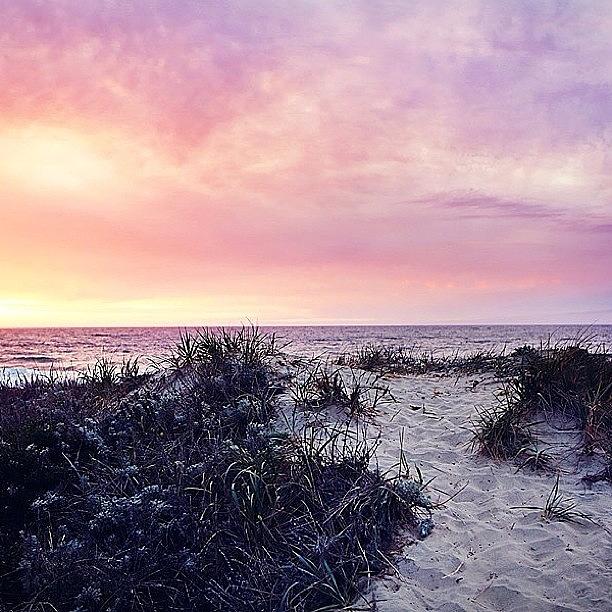 Sunset Photograph - Sand Dunes And Sunset At Moss Landing by Cristi Bastian