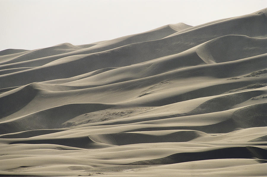 Sand Dunes And Wind Storm Photograph by Rod Planck