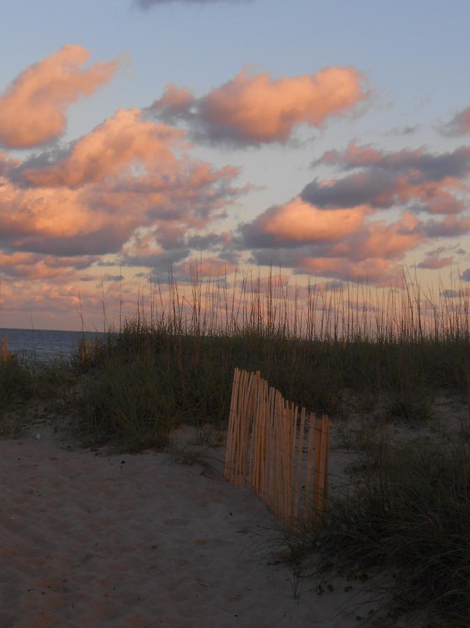 Sand Dunes Photograph by April Thraikill - Fine Art America