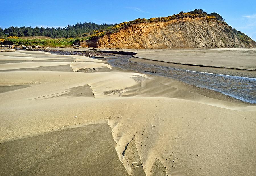 Sand dunes at Agate Beach in Oregon Photograph by Maralei Keith Nelson