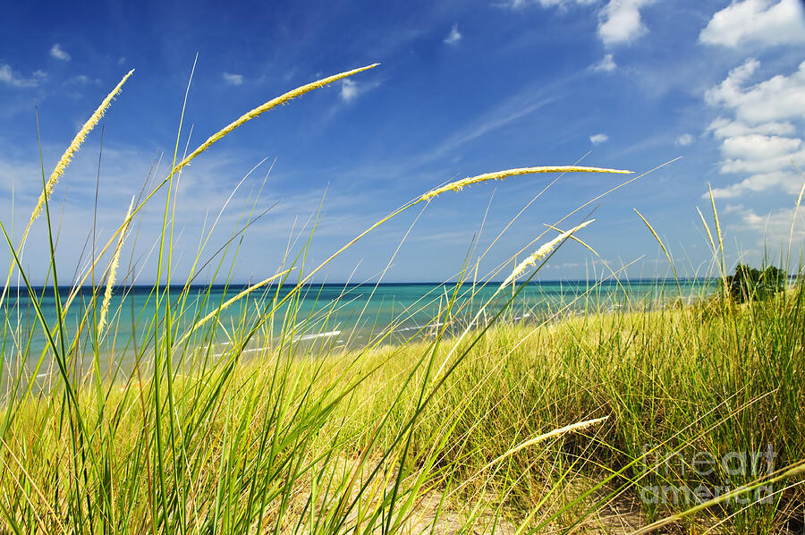 Sand Dunes At Beach 1 Photograph