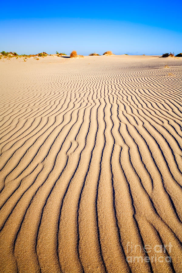 Holiday Photograph - Sand Dunes at Eucla by Colin and Linda McKie