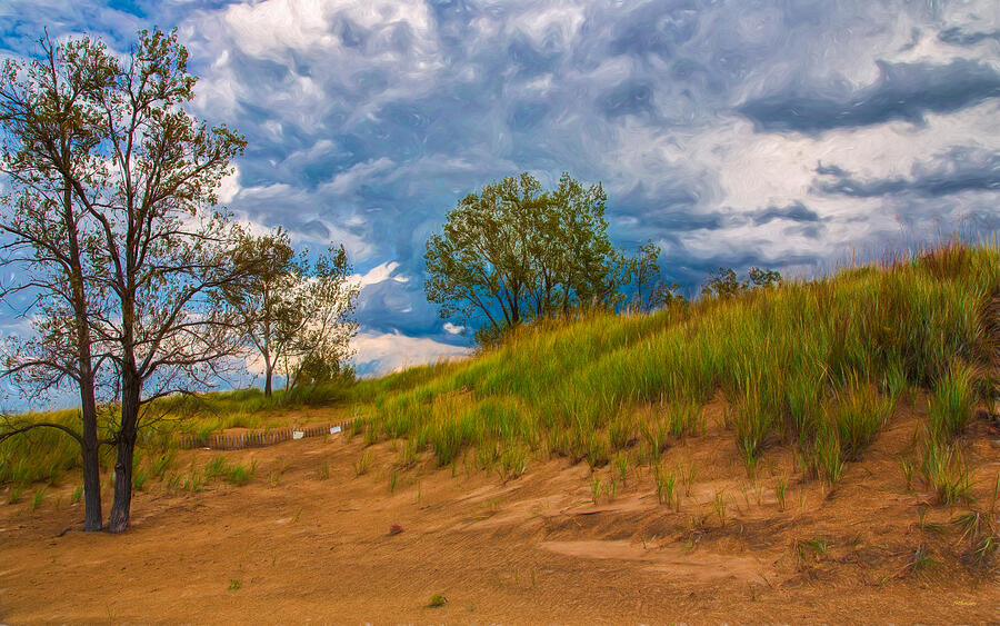 Sand Dunes At Indian Dunes National Lakeshore Photograph by John M Bailey