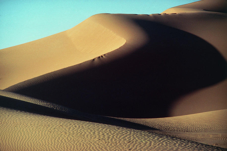 Sand Dunes At Kerzaz Photograph by Sinclair Stammers/science Photo Library