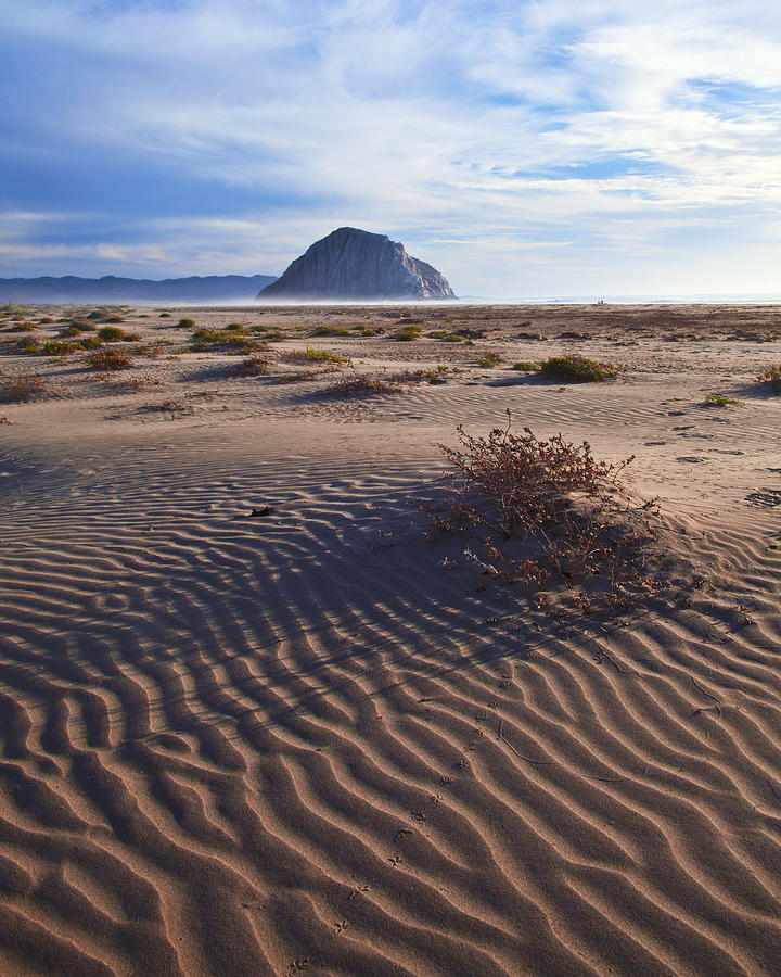 Sand Dunes At Morro Bay Beach Shoreline Fine Art Photography Photograph by Jerry Cowart