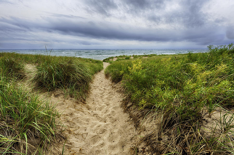 Sand Dunes Beach Path Photograph by Sebastian Musial