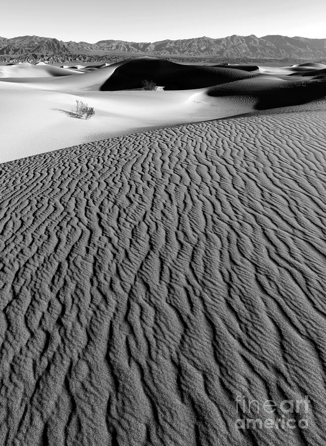 Sand Dunes - BW Photograph by Benedict Heekwan Yang