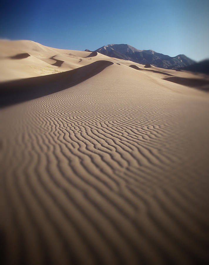 Landscape Photograph - Sand Dunes, Colorado by J.C. Leacock