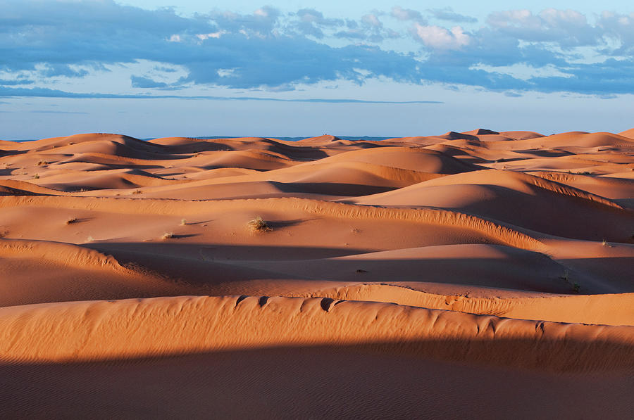 Sand Dunes Photograph by Dave Stamboulis Travel Photography