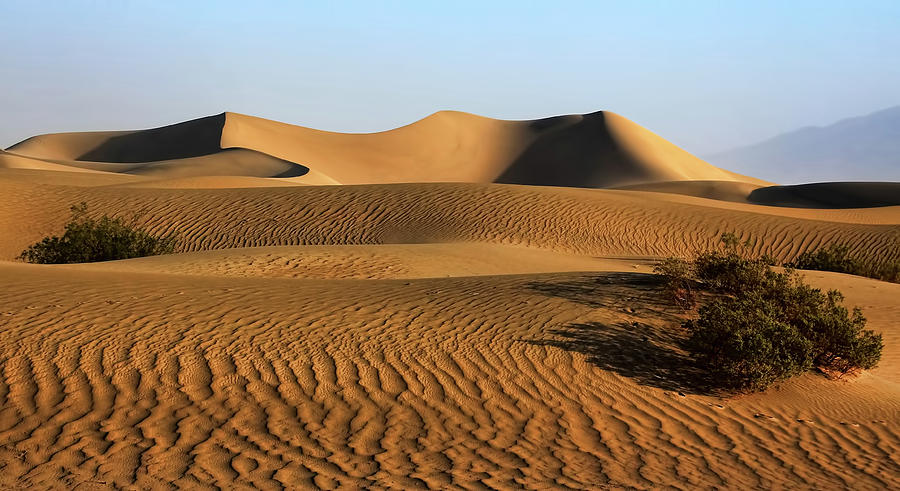 Sand Dunes Photograph by David Toussaint