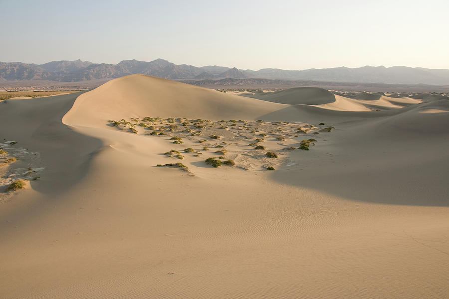 Sand Dunes, Death Valley, California Photograph By Jose Azel 