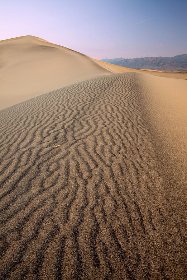 Sand Dunes - Death Valley Photograph by Patrick Downey