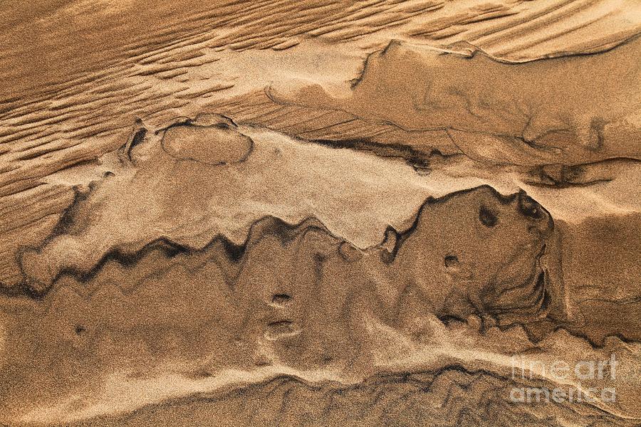 Sand Dunes Dog Photograph by Adam Jewell