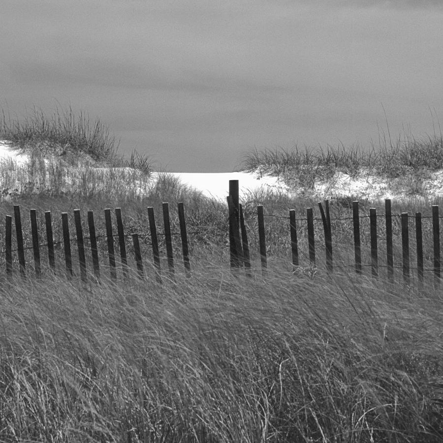 Outer Banks Photograph by Don Spenner