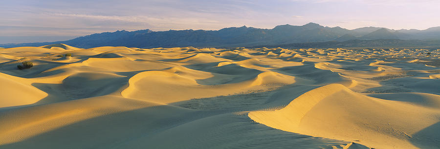 Death Valley National Park Photograph - Sand Dunes In A Desert, Grapevine by Panoramic Images