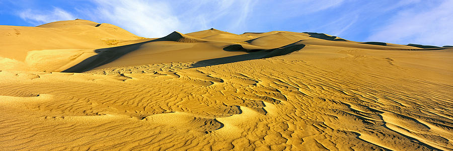 Great Sand Dunes National Park Photograph - Sand Dunes In A Desert, Great Sand by Panoramic Images
