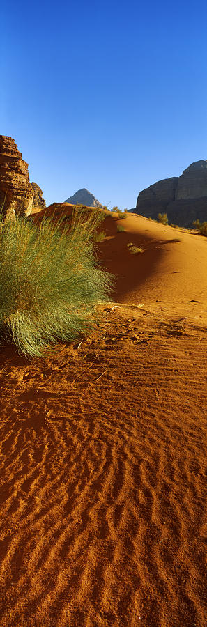 Nature Photograph - Sand Dunes In A Desert, Jordan by Panoramic Images