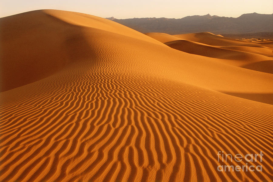 Sand Dunes In Death Valley California Photograph by George Ranalli