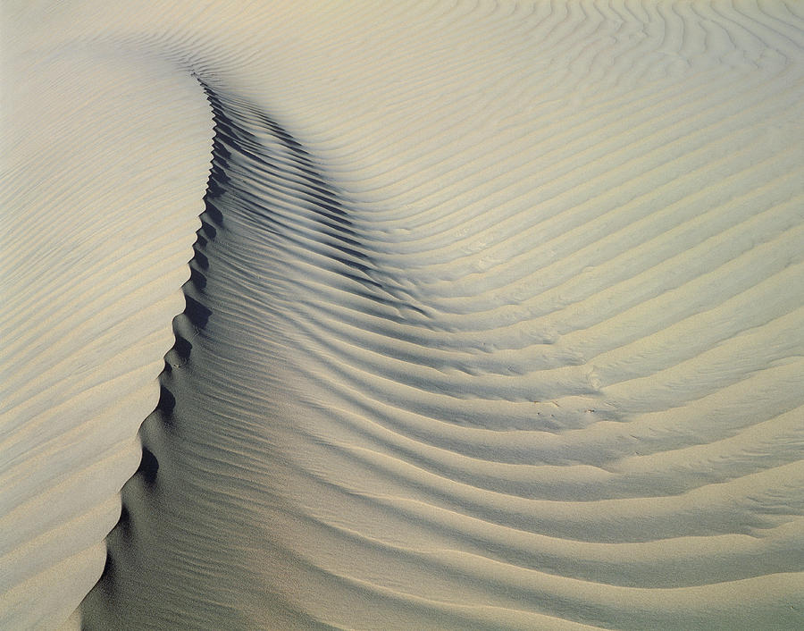 Sand Dunes In Death Valley Photograph by Simon Fraser/science Photo Library
