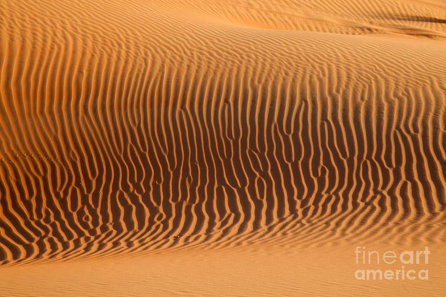 Nature Photograph - Sand dunes in Dubai by Fototrav Print