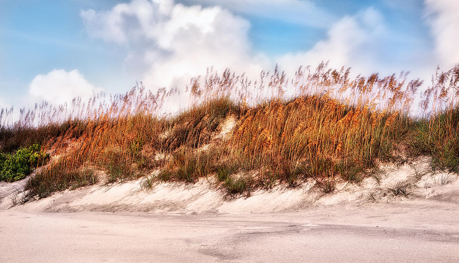 Sand Dunes in Motion - Outer Banks Photograph by Dan Carmichael