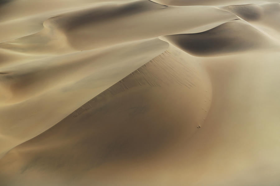 Sand Dunes In Namib Desert Photograph by Buena Vista Images