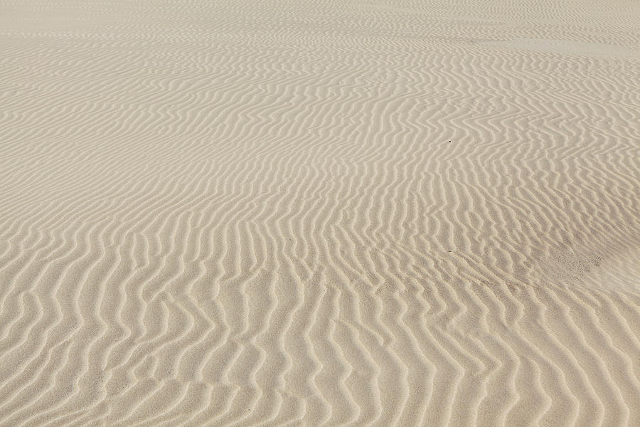 Sand Dunes In Poland Photograph by Gosiek-b