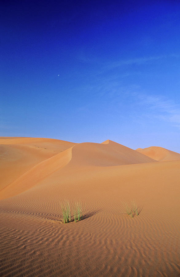 Desert Photograph - Sand Dunes In The Rub Al-khali, United by Martin Zwick