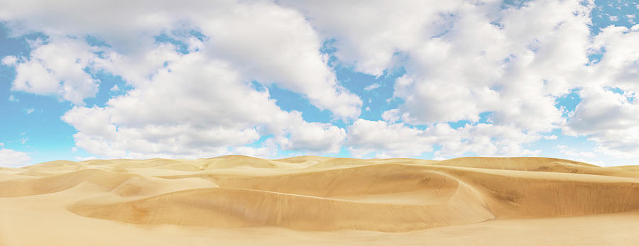 Sand Dunes In The Sahara Desert Photograph by Wladimir Bulgar/science Photo Library