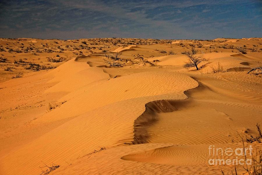Sand Dunes in the Simpson Desert Photograph by Peter Kneen