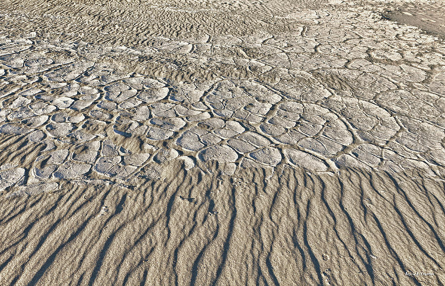 Sand Dunes like fine cloth Photograph by Angela Stanton