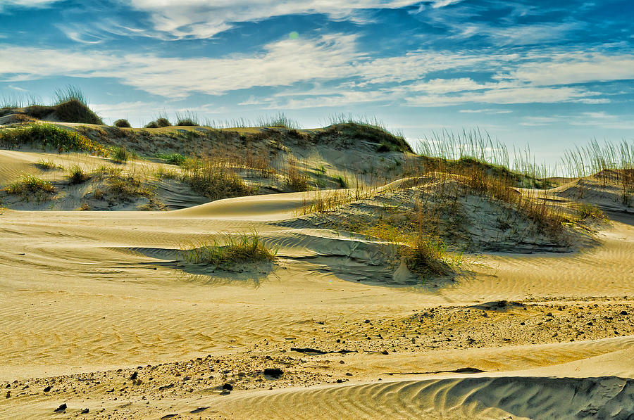 Sand Dunes Photograph by Louis Dallara