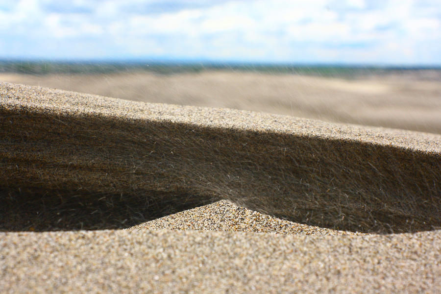 Sand Dunes Macro 2 Photograph by Jon Emery